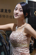 2010������չ��ģͼƬ_17798