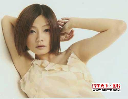 歌手<em>何静</em>被诉买奔驰车不还贷款-天下汽车-车天