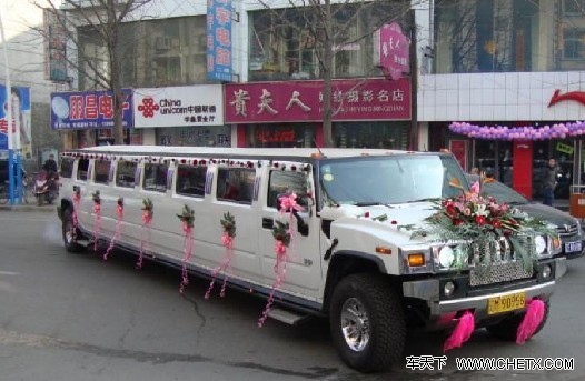 中国最豪华婚礼车队_世界最豪华的婚礼车队_朗动婚礼车队(2)